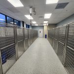 West Park Animal Hospital – Wojcik Builders