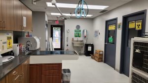vh exam room