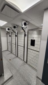 vh kennel area